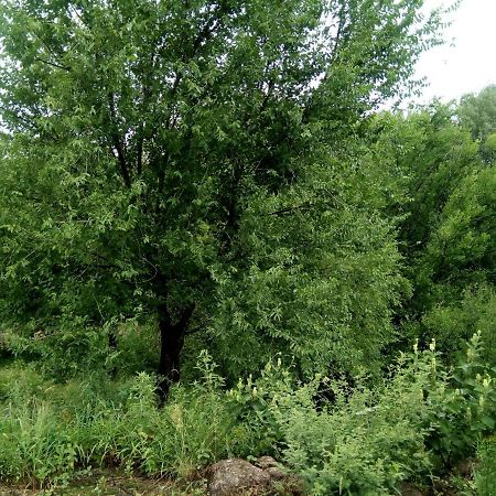 Cabanas Farah Estancia Vieja Ideal Para 2 A 3 Huespedes Вилья-Карлос-Пас Экстерьер фото