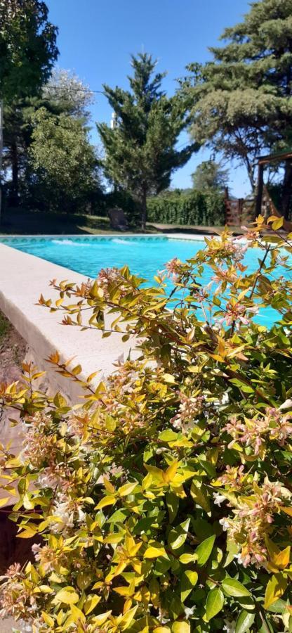 Cabanas Farah Estancia Vieja Ideal Para 2 A 3 Huespedes Вилья-Карлос-Пас Экстерьер фото