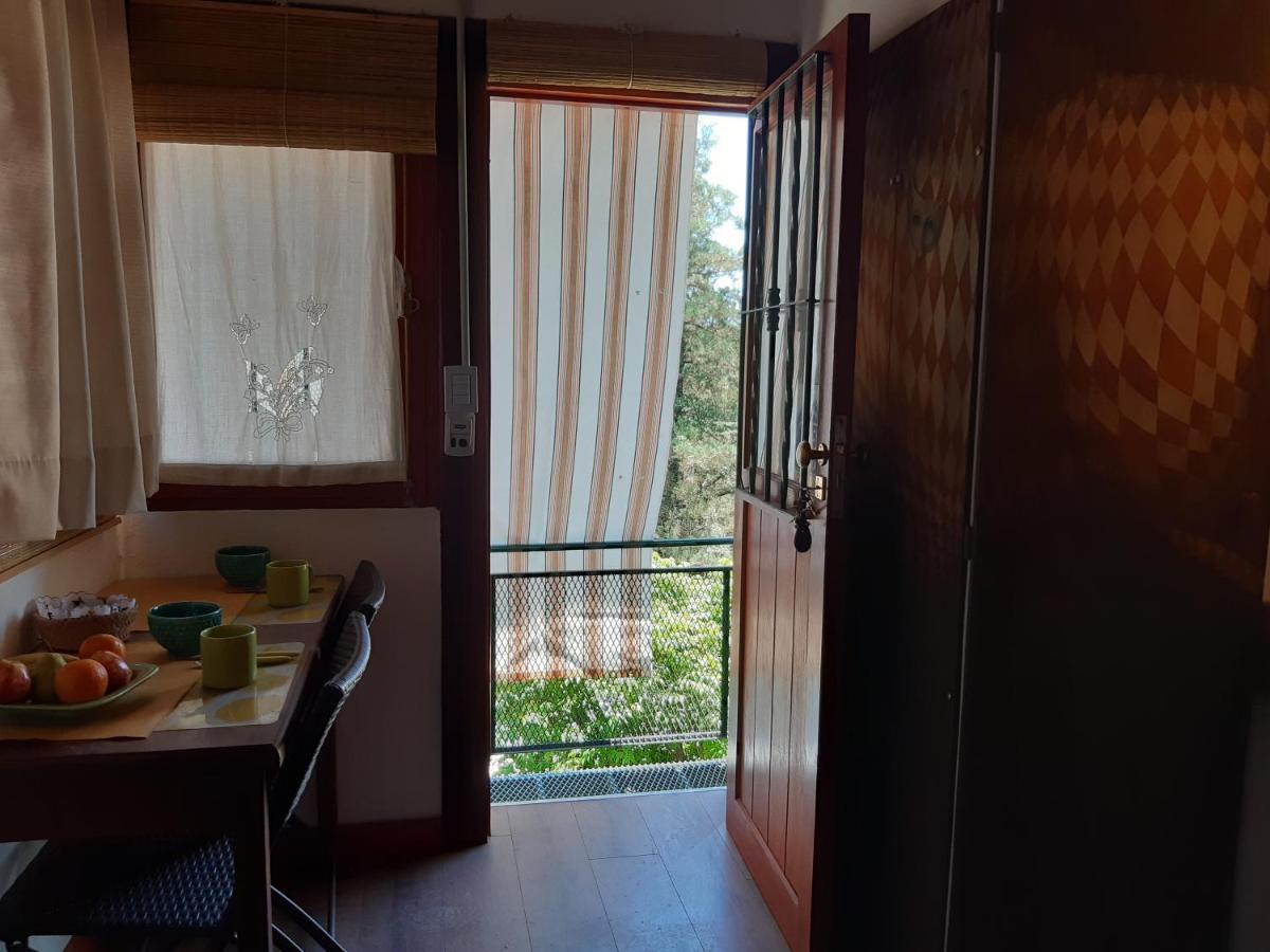 Cabanas Farah Estancia Vieja Ideal Para 2 A 3 Huespedes Вилья-Карлос-Пас Экстерьер фото